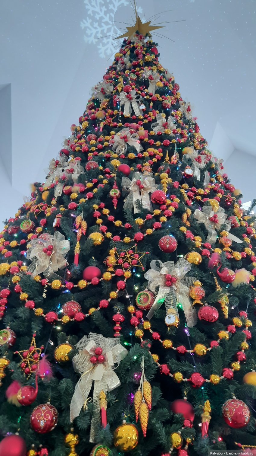 ЗаКЛИНило: путешествие из лета в зиму🤪 (фото 3)