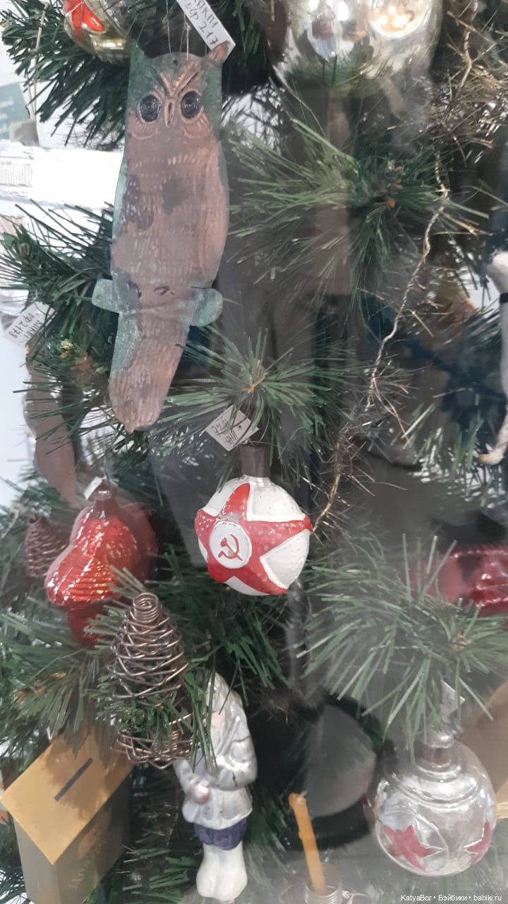 ЗаКЛИНило: путешествие из лета в зиму🤪