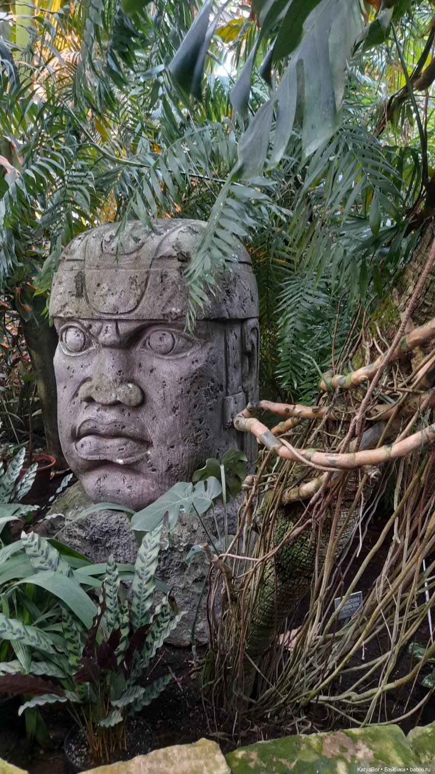 Кати в оранжереях Аптекарского огорода