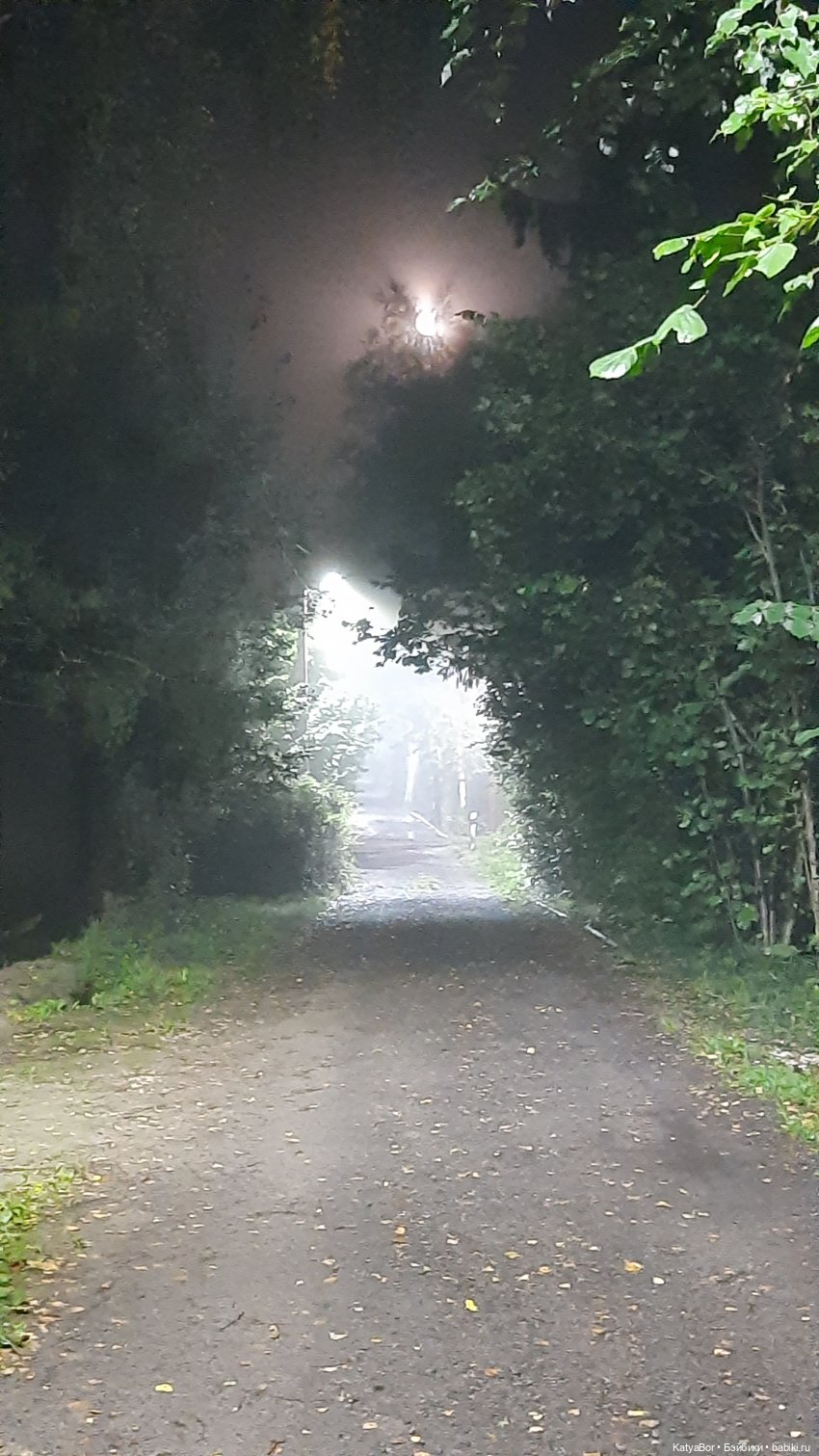 Паровозик спешит на чаепитие