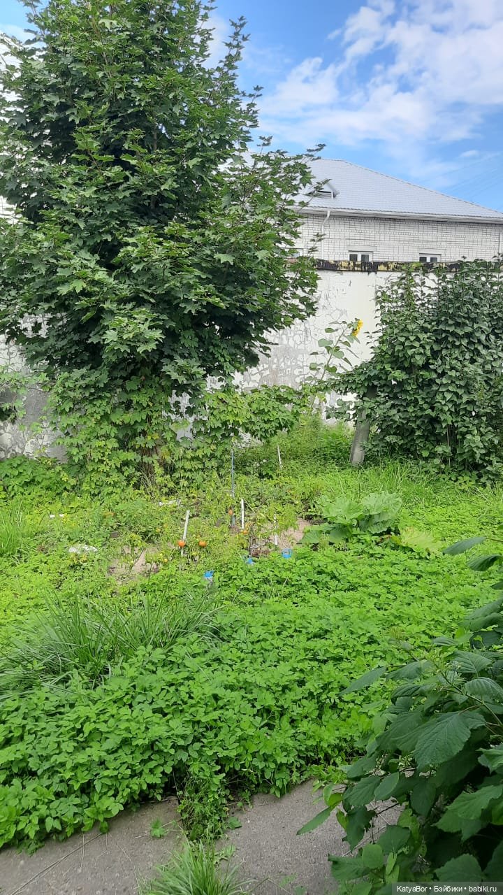 ЗаКЛИНило: в гостях у А.Гайдара (фото 9)