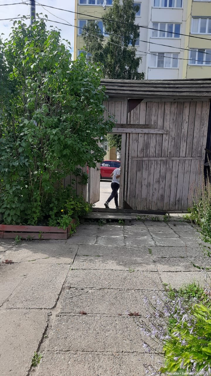 ЗаКЛИНило: в гостях у А.Гайдара