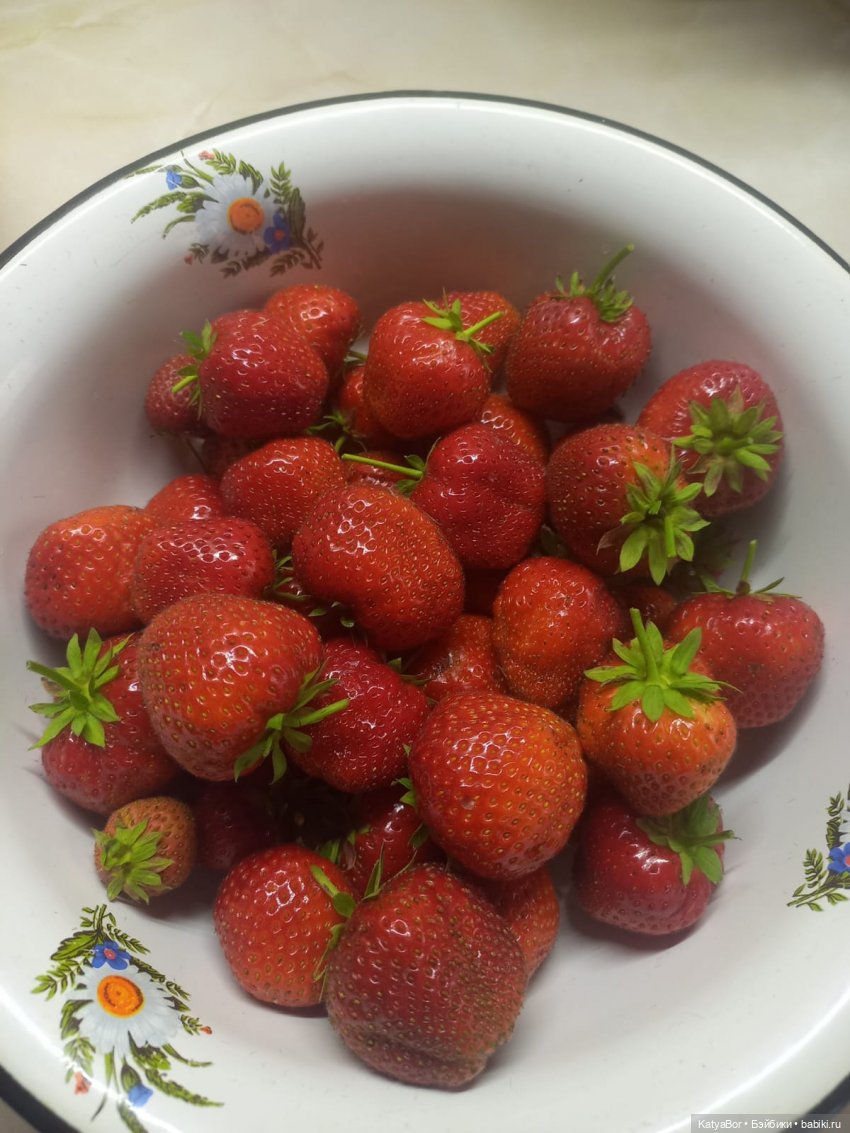 Паровозик спешит на чаепитие