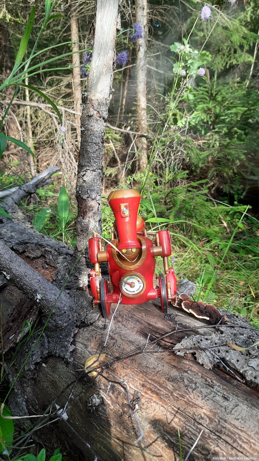 Паровозик спешит на чаепитие