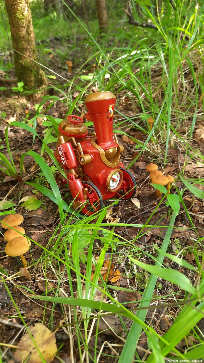 Паровозик спешит на чаепитие (фото 7)