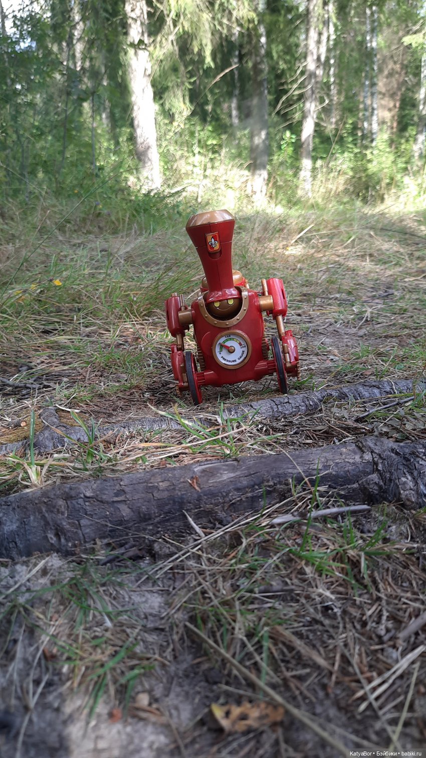 Паровозик спешит на чаепитие (фото 4)