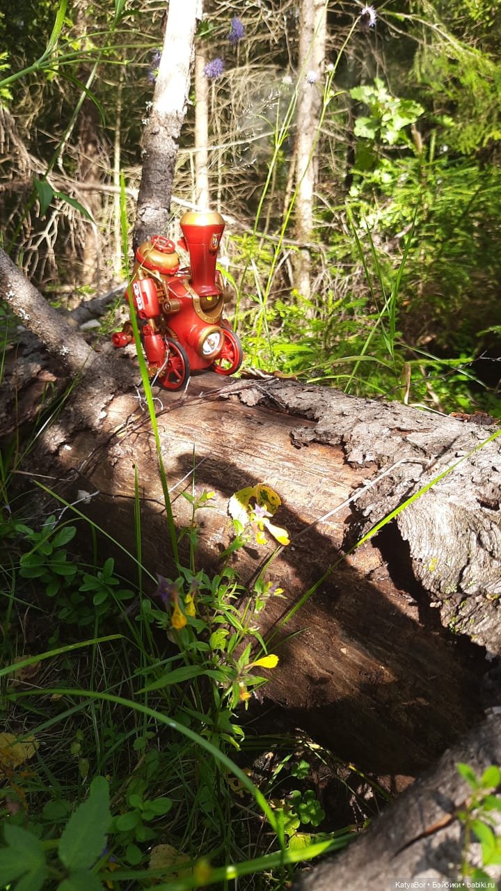 Паровозик спешит на чаепитие