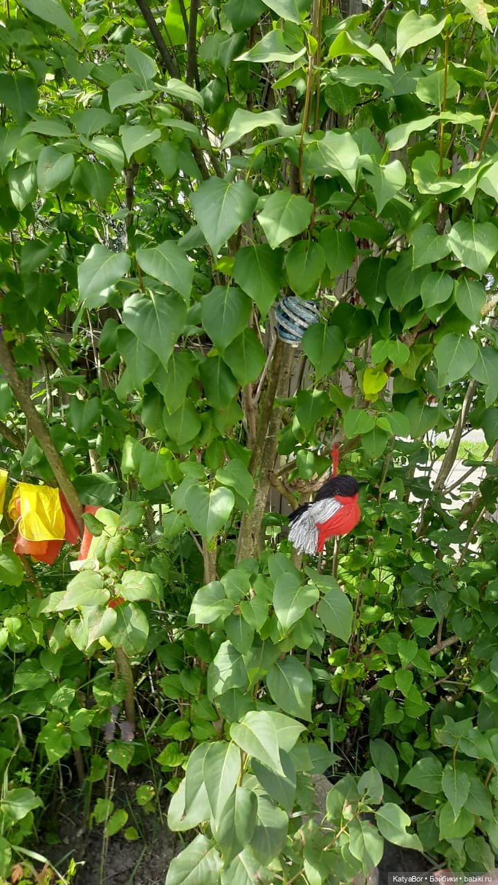 ЗаКЛИНило: в гостях у А.Гайдара