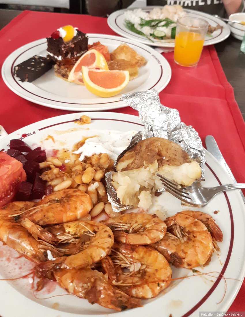 Странствие в Египет с Сурисой