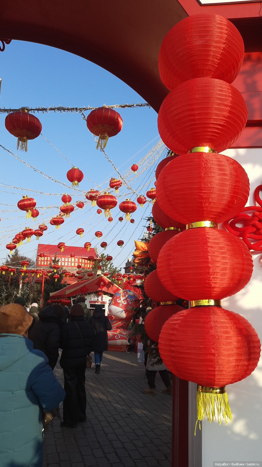 Панда Катюша знакомилась с Китаем (фото 3)