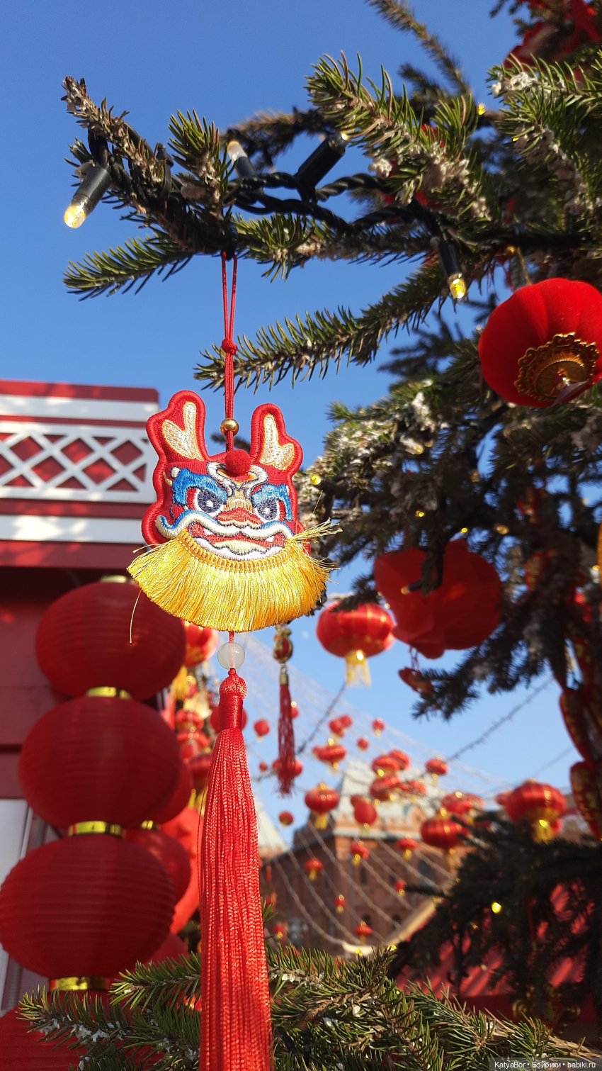 Панда Катюша знакомилась с Китаем (фото 2)