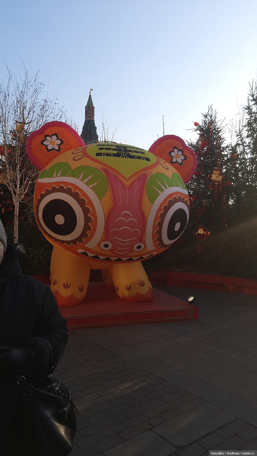 Панда Катюша знакомилась с Китаем