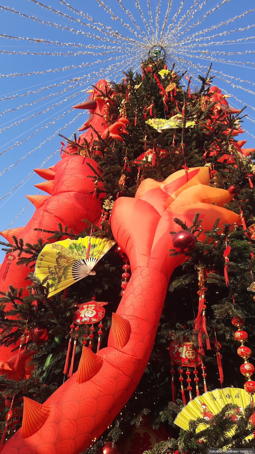 Панда Катюша знакомилась с Китаем (фото 5)