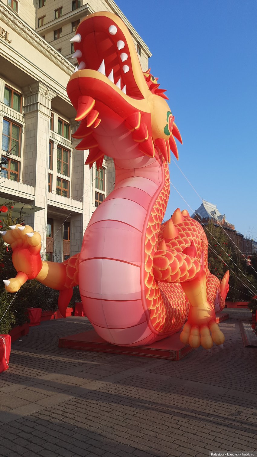 Панда Катюша знакомилась с Китаем