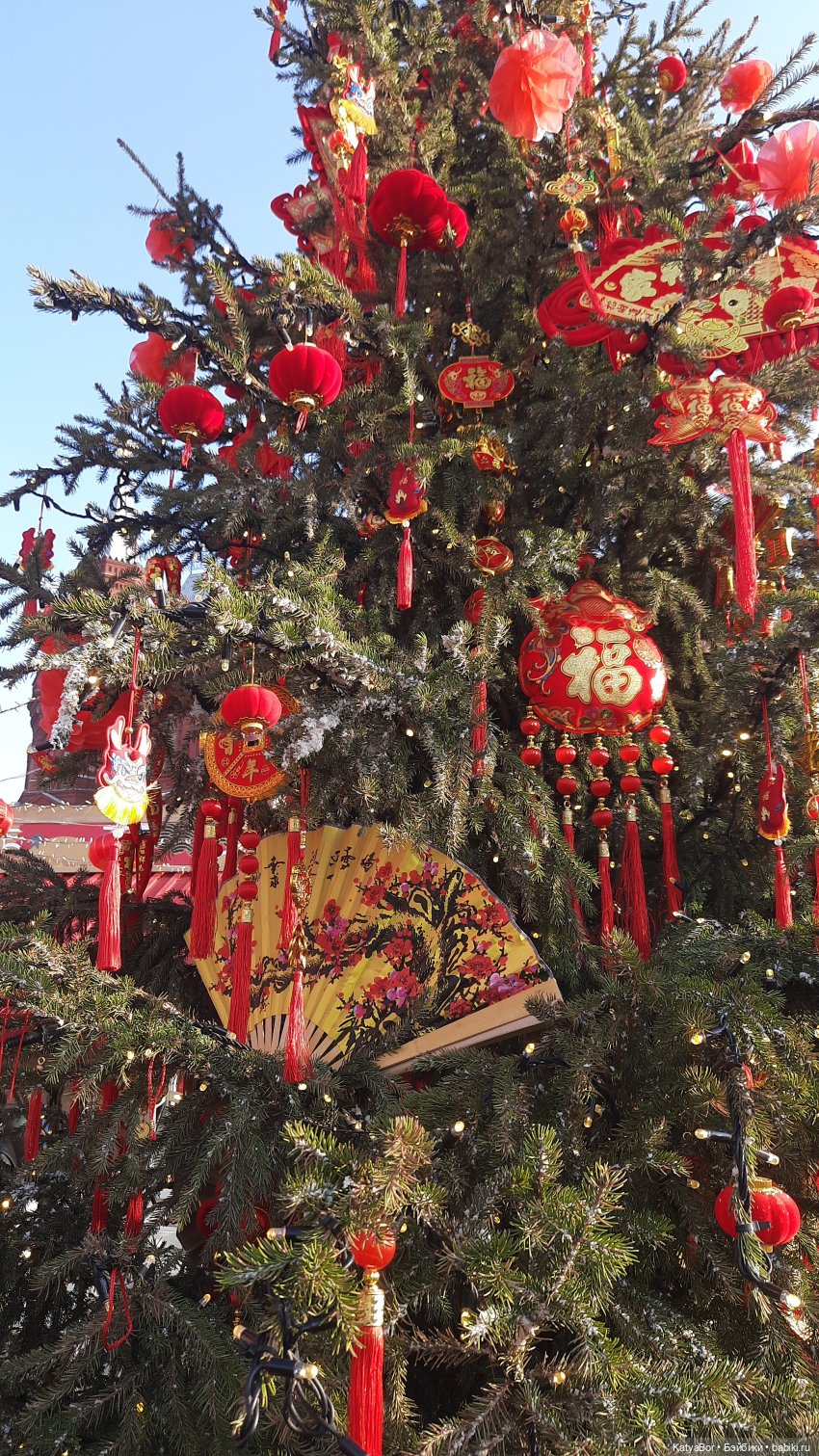 Панда Катюша знакомилась с Китаем (фото 4)