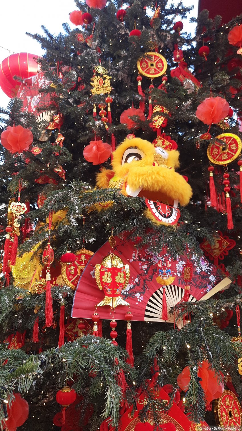 Панда Катюша знакомилась с Китаем