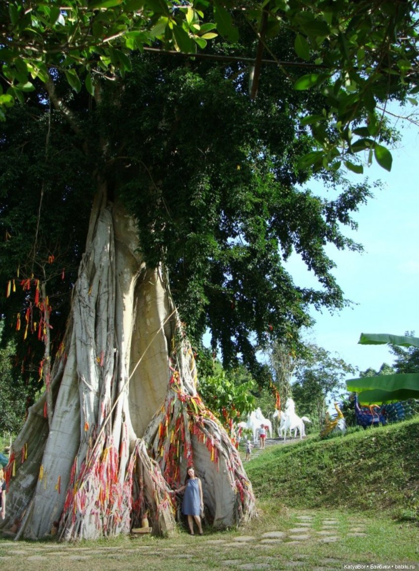 Воспоминания о встрече Нового года во Вьетнаме, и как у меня поселилась вьетнамочка Мариетта