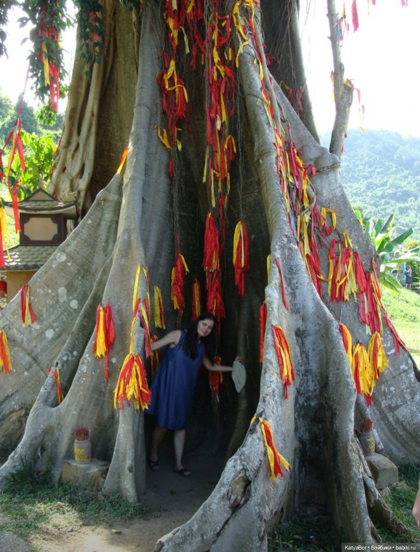 Воспоминания о встрече Нового года во Вьетнаме, и как у меня поселилась вьетнамочка Мариетта