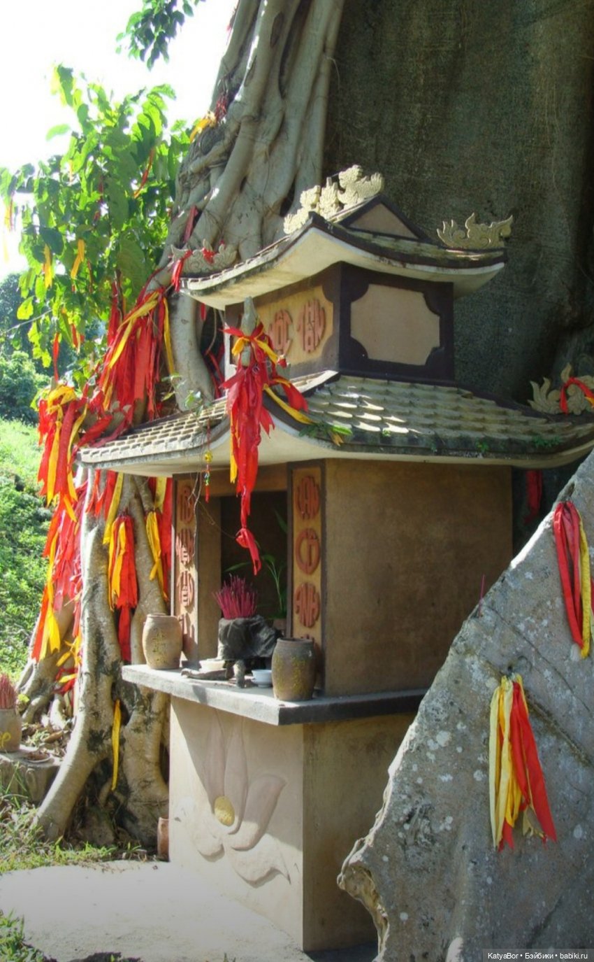 Воспоминания о встрече Нового года во Вьетнаме, и как у меня поселилась вьетнамочка Мариетта