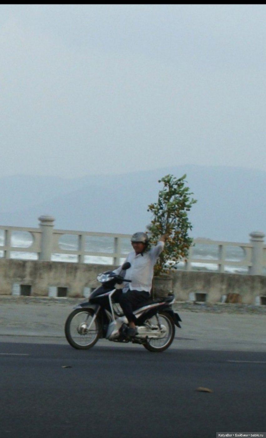Воспоминания о встрече Нового года во Вьетнаме, и как у меня поселилась вьетнамочка Мариетта (фото 10)