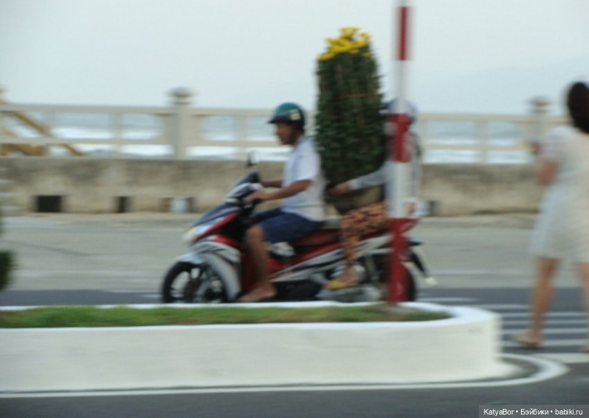 Воспоминания о встрече Нового года во Вьетнаме, и как у меня поселилась вьетнамочка Мариетта