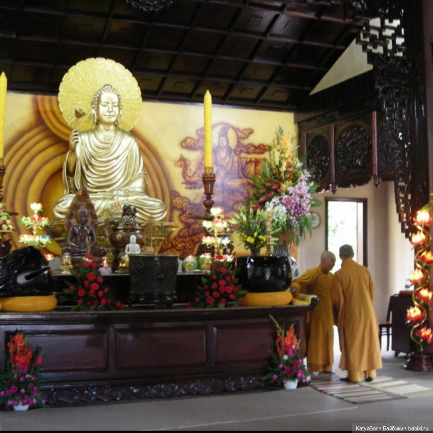 Воспоминания о встрече Нового года во Вьетнаме, и как у меня поселилась вьетнамочка Мариетта