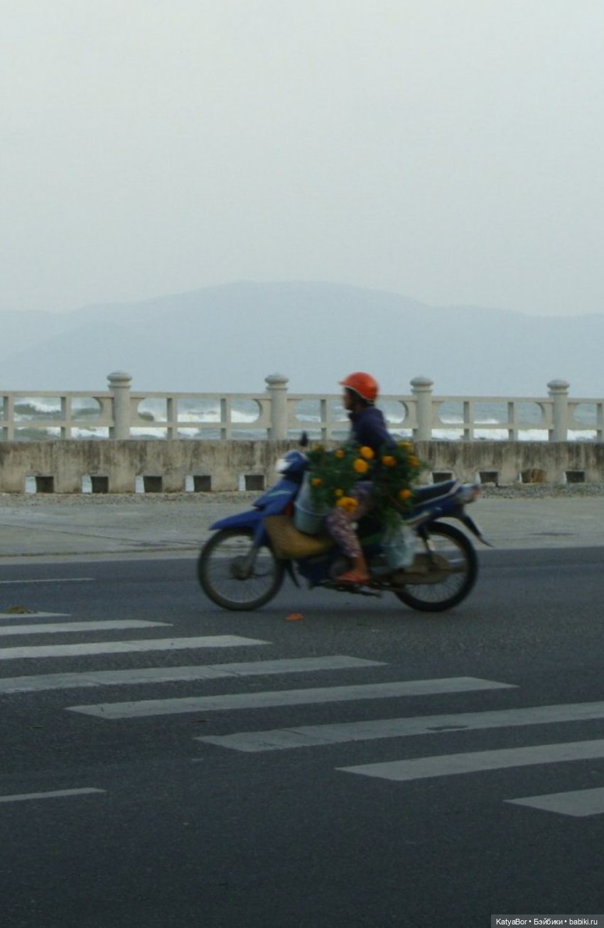 Воспоминания о встрече Нового года во Вьетнаме, и как у меня поселилась вьетнамочка Мариетта