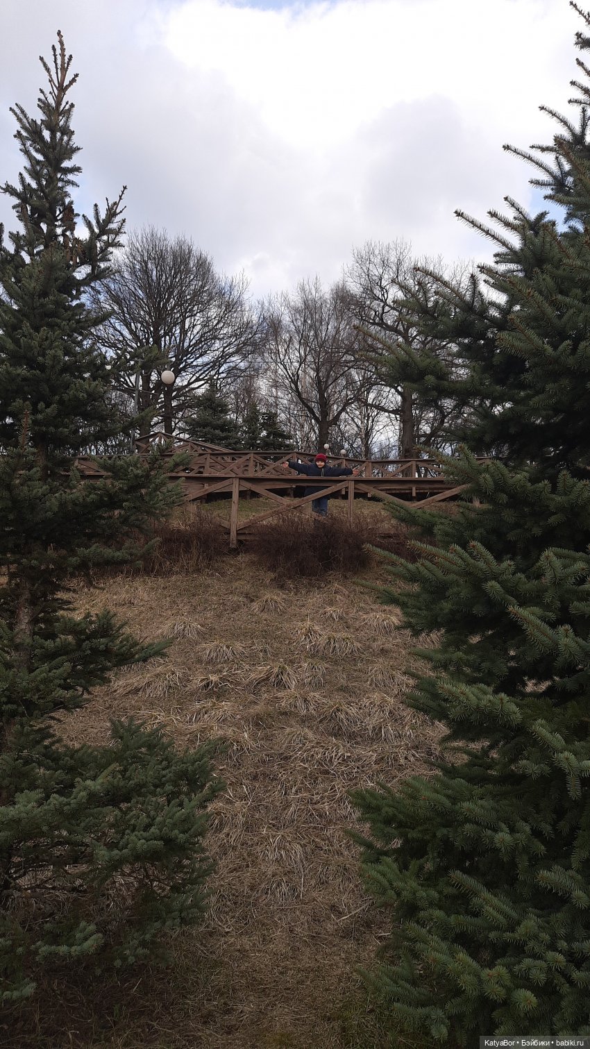 Суриса отправляется в поход