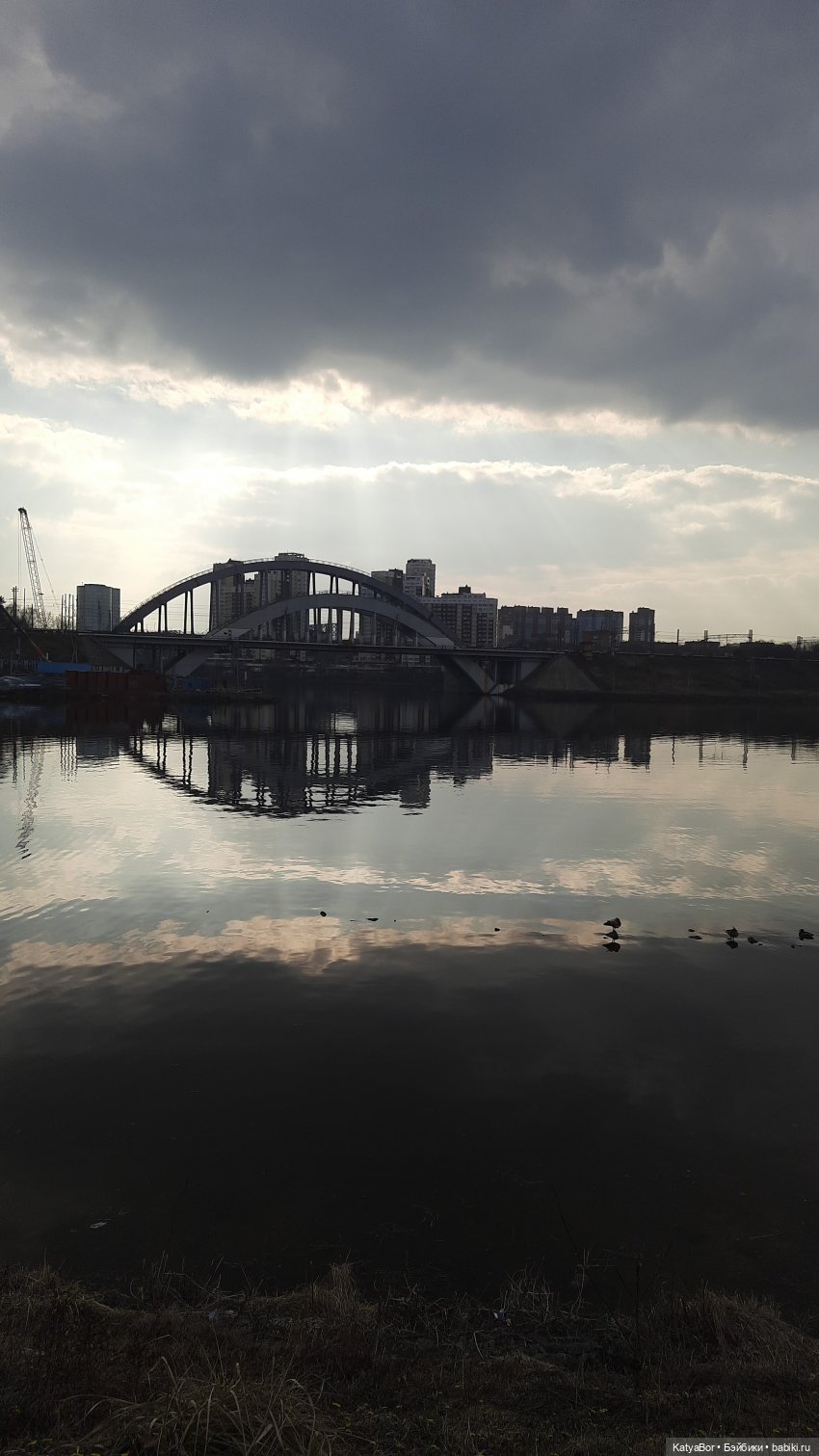 Суриса отправляется в поход (фото 10)