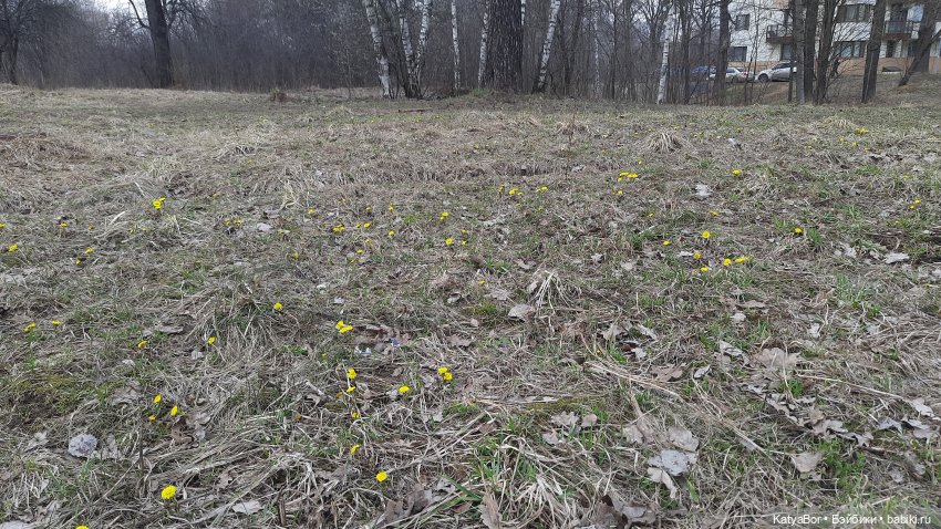 Суриса отправляется в поход (фото 6)