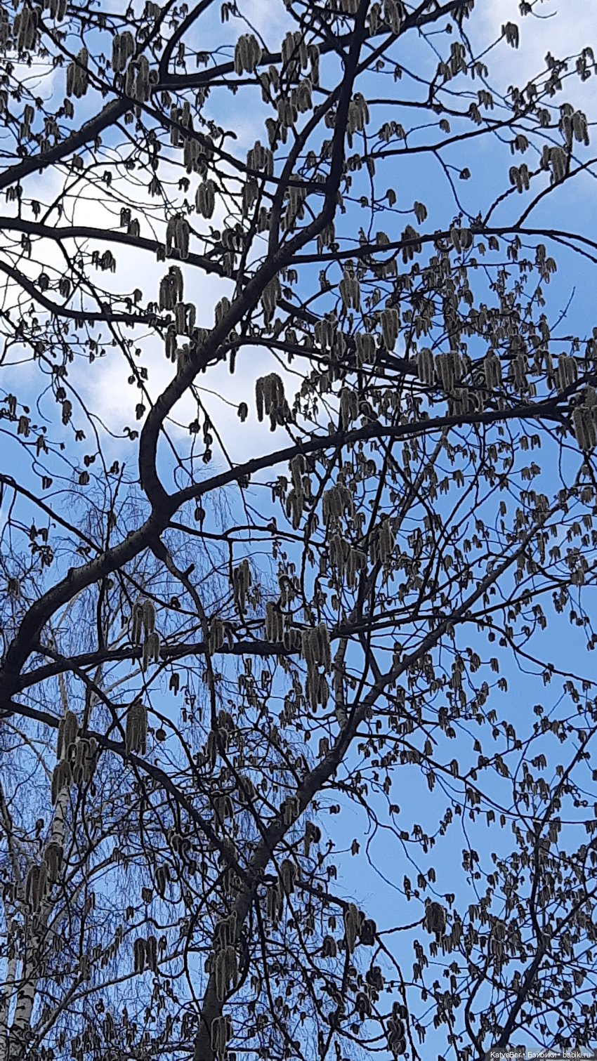 Суриса отправляется в поход (фото 7)