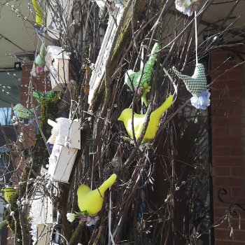 А мы снова сюда весной с "Весной")