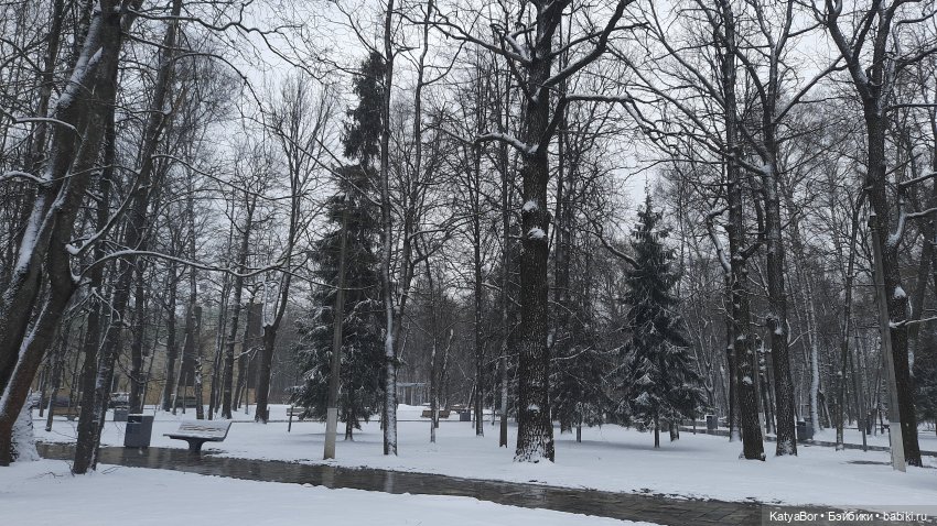 Суриса модничает — Коллекции игровых кукол (Playline): фото полок