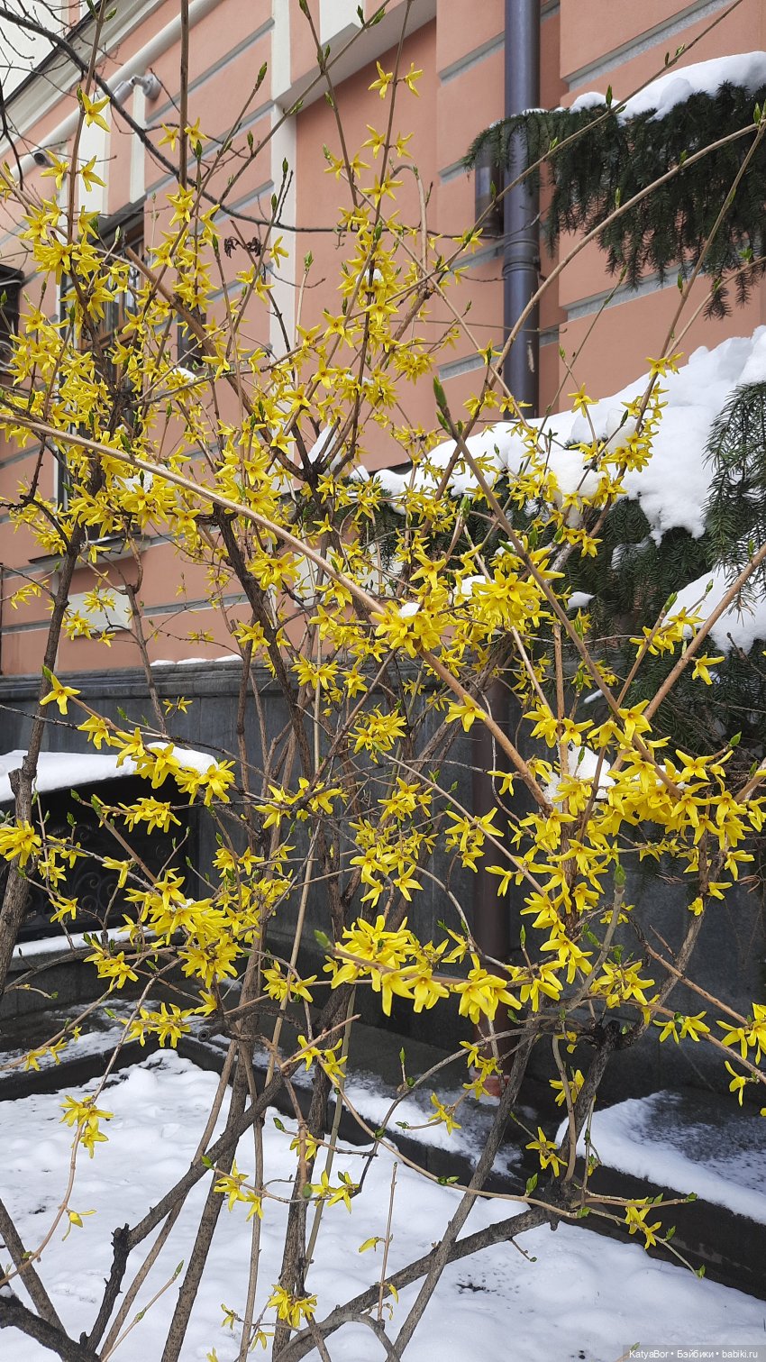 Мой подарок на 8 марта и прогулка по длинной московской улице