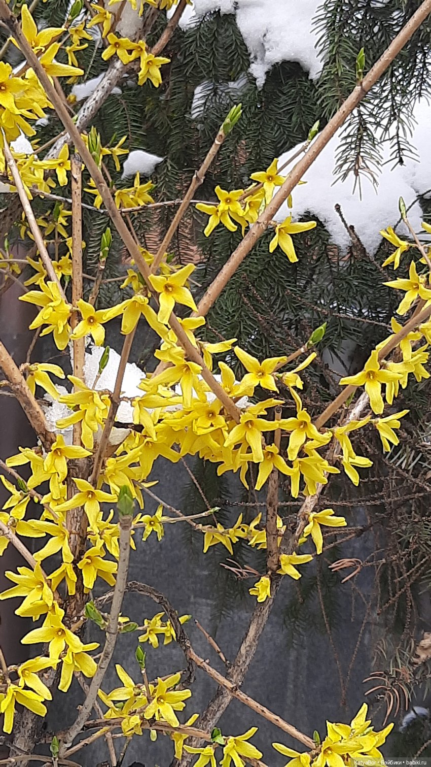 Мой подарок на 8 марта и прогулка по длинной московской улице