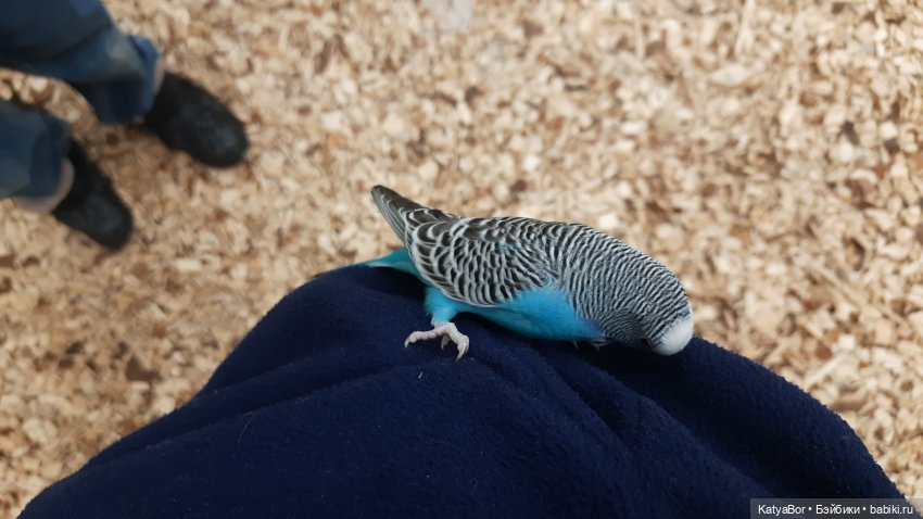 Мой подарок на 8 марта и прогулка по длинной московской улице