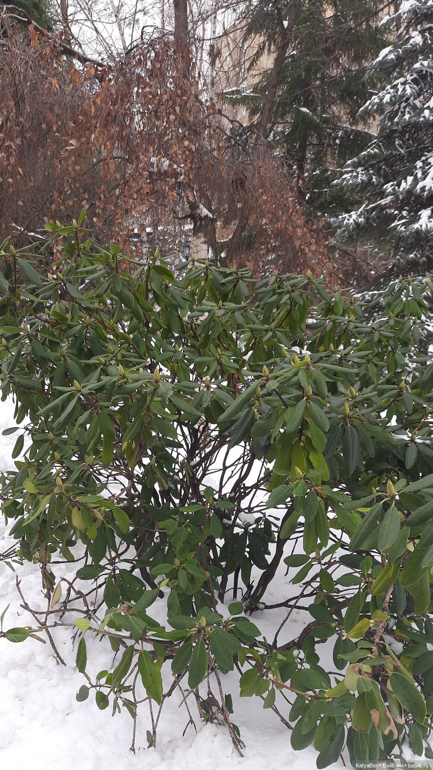 Мой подарок на 8 марта и прогулка по длинной московской улице