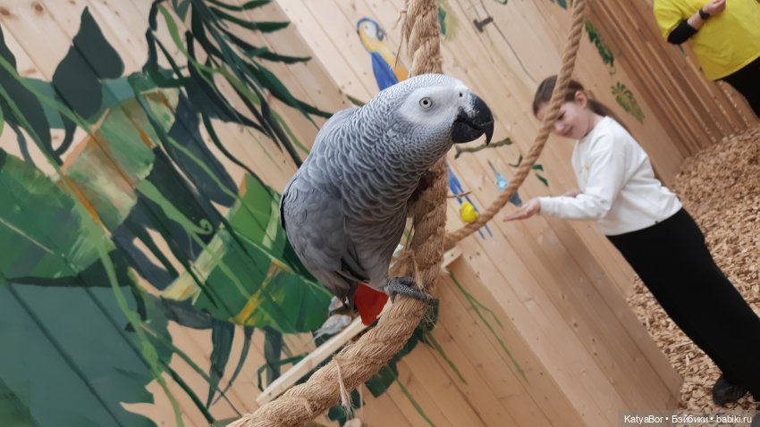 Мой подарок на 8 марта и прогулка по длинной московской улице