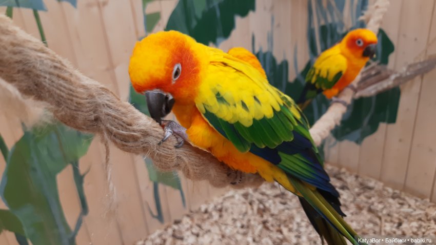 Мой подарок на 8 марта и прогулка по длинной московской улице