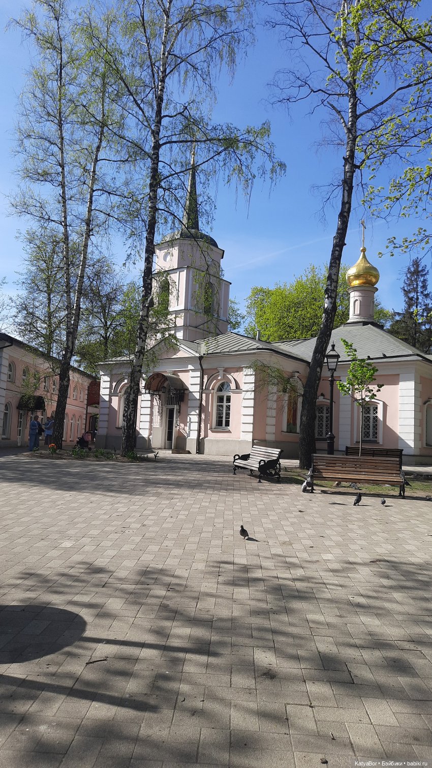 Покровское-Стрешнево весной (фото 2)