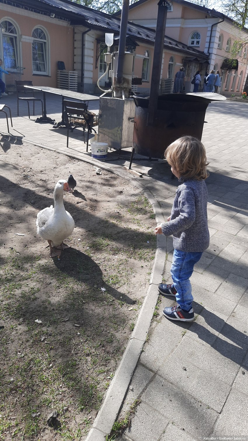 Покровское-Стрешнево весной (фото 3)