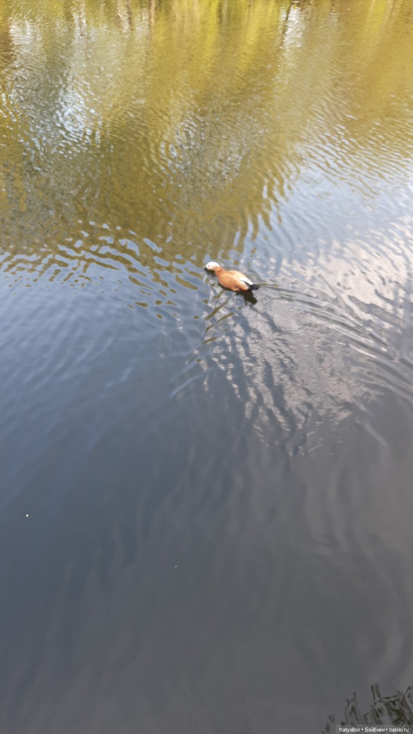 Покровское-Стрешнево весной