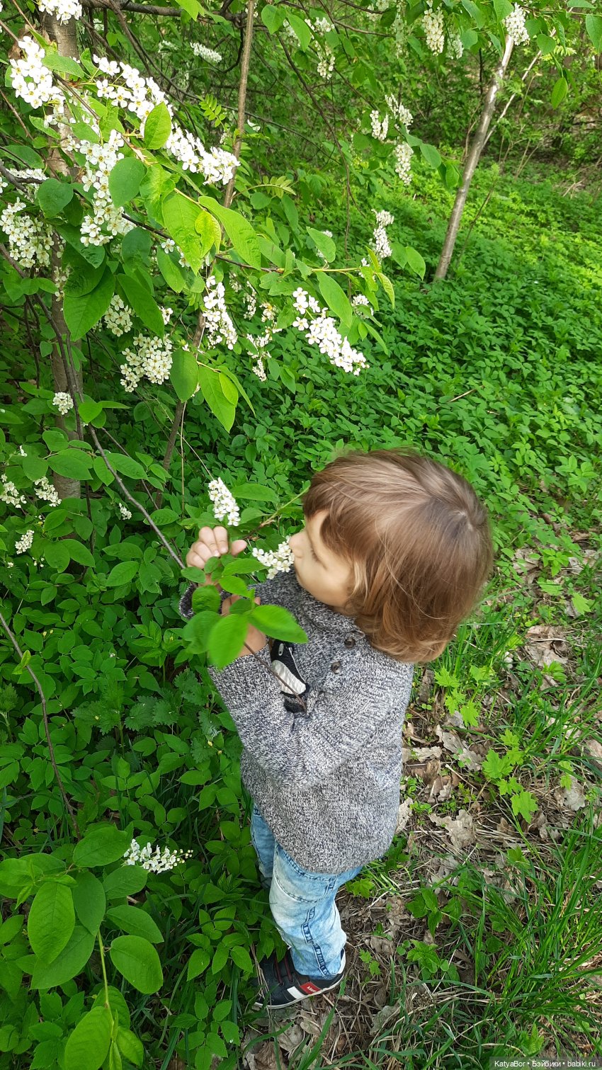 Покровское-Стрешнево весной