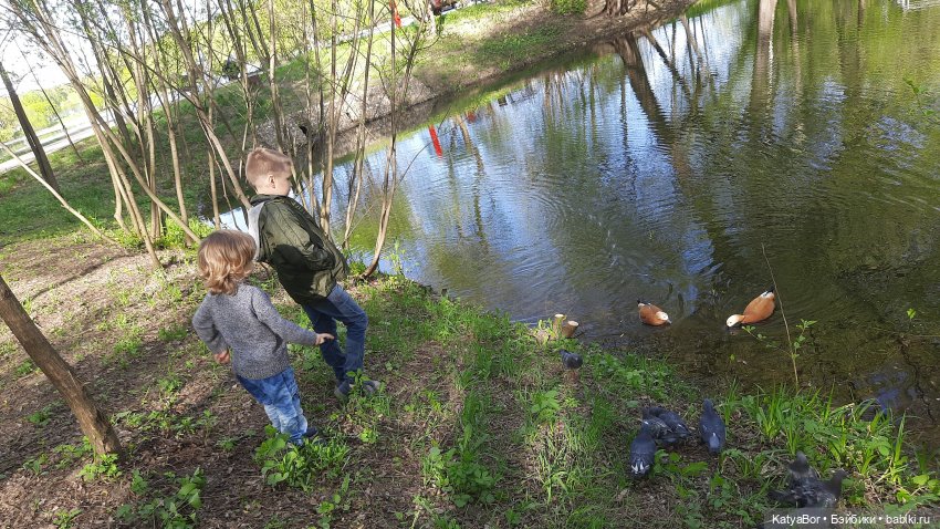 Покровское-Стрешнево весной (фото 8)