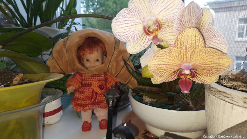 Я стойко держалась, но...🐱+🥐+☕️)) (фото 6)