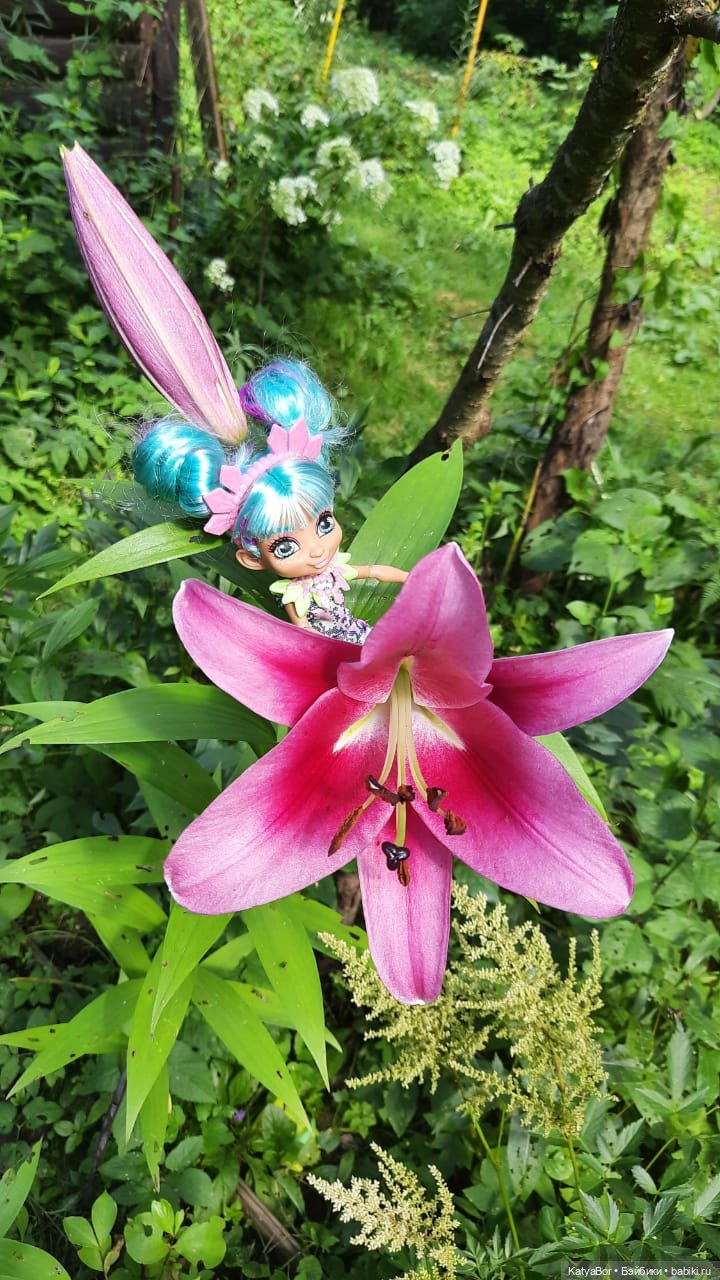 Каким должно быть дачное лето...) (фото 3)