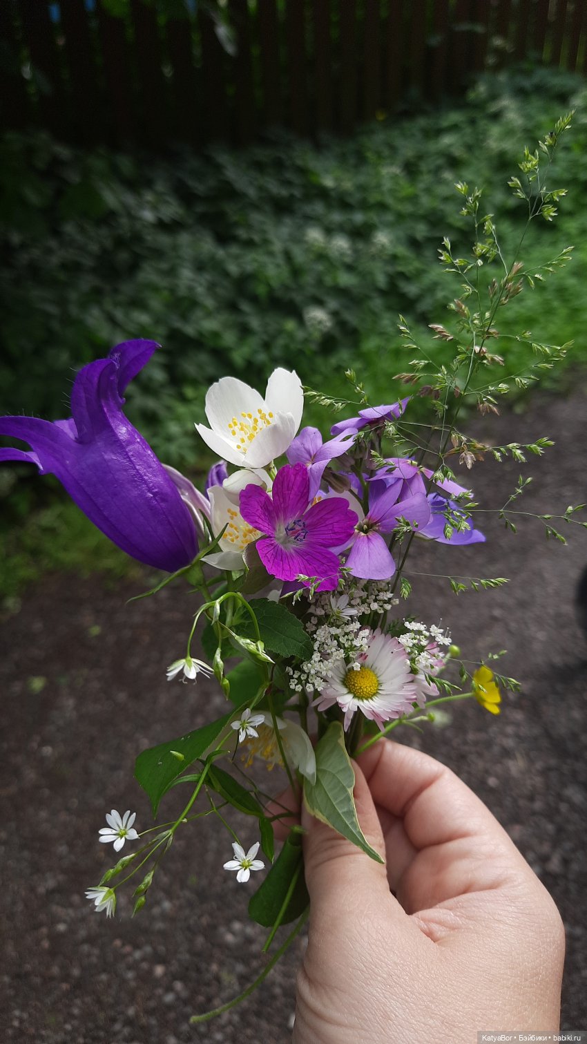 Штормовая девочка и золотая рыбка