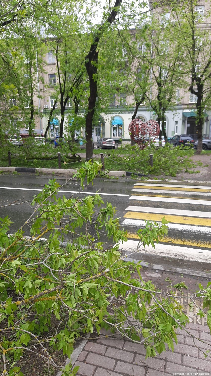 Штормовая девочка и золотая рыбка