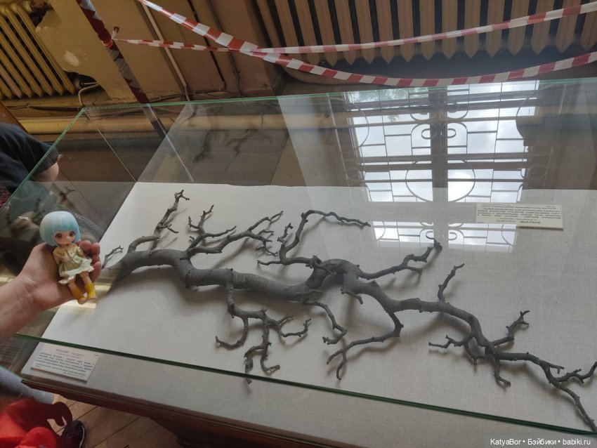 Мальвина среди камней в музее минералогии Москвы (фото 9)