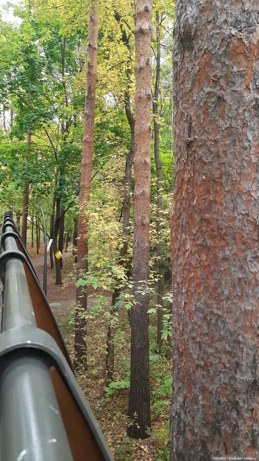 Экотропой — Куклы Zwergnase (Цвергназе/Цверги): фото